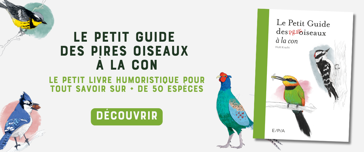 Le petit guide des pires oiseaux à la con