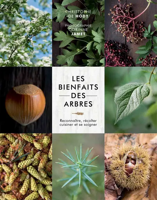 Les bienfaits des arbres - Christophe De Hody - E/P/A