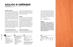 La bible du bois NED - Marcel Guedj, Michel Beauvais - E/P/A