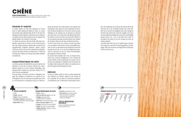 La bible du bois NED - Marcel Guedj, Michel Beauvais - E/P/A