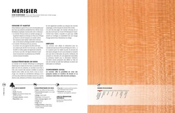 La bible du bois NED - Marcel Guedj, Michel Beauvais - E/P/A