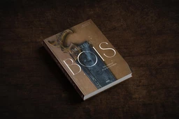 La bible du bois NED - Marcel Guedj, Michel Beauvais - E/P/A