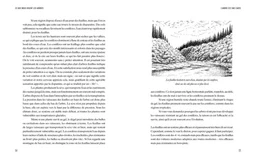 Ce que nous disent les arbres - Tristan Gooley - E/P/A