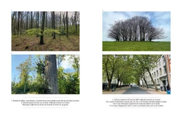 Ce que nous disent les arbres - Tristan Gooley - E/P/A