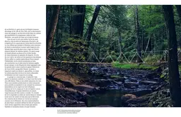 Cabin porn - Steven Leckart - E/P/A