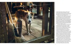 Cabin porn - Steven Leckart - E/P/A