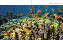 Le tour du monde en 80 plongées (petit format) - Patrick Mioulane, Raymond Sahuquet - E/P/A