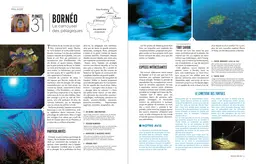 Le tour du monde en 80 plongées (petit format) - Patrick Mioulane, Raymond Sahuquet - E/P/A