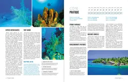 Le tour du monde en 80 plongées (petit format) - Patrick Mioulane, Raymond Sahuquet - E/P/A