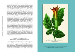 Les vertus des plantes - Jean-Marie Pelt - E/P/A