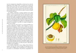 Les vertus des plantes - Jean-Marie Pelt - E/P/A