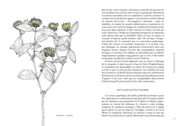 Les vertus des plantes - Jean-Marie Pelt - E/P/A