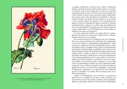 Les vertus des plantes - Jean-Marie Pelt - E/P/A