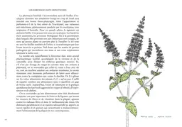Les vertus des plantes - Jean-Marie Pelt - E/P/A