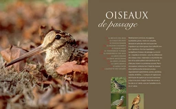 Le grand livre de la chasse - Yves Le Floc'h Soye, Michel Durchon - E/P/A