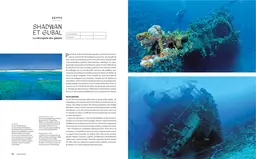 Le tour du Monde en 80 plongées - Patrick Mioulane, Raymond Sahuquet - E/P/A