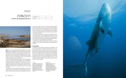 Le tour du Monde en 80 plongées - Patrick Mioulane, Raymond Sahuquet - E/P/A