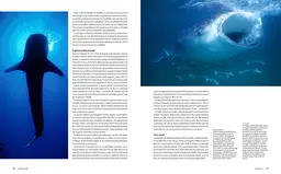 Le tour du Monde en 80 plongées - Patrick Mioulane, Raymond Sahuquet - E/P/A