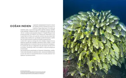 Le tour du Monde en 80 plongées - Patrick Mioulane, Raymond Sahuquet - E/P/A