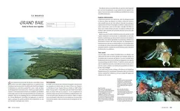 Le tour du Monde en 80 plongées - Patrick Mioulane, Raymond Sahuquet - E/P/A