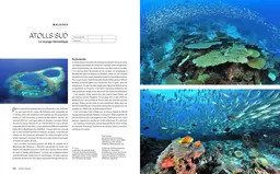 Le tour du Monde en 80 plongées - Patrick Mioulane, Raymond Sahuquet - E/P/A