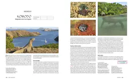 Le tour du Monde en 80 plongées - Patrick Mioulane, Raymond Sahuquet - E/P/A