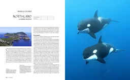 Le tour du Monde en 80 plongées - Patrick Mioulane, Raymond Sahuquet - E/P/A