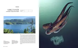 Le tour du Monde en 80 plongées - Patrick Mioulane, Raymond Sahuquet - E/P/A