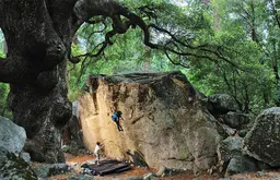 Escalade -  Collectif - Gestalten - E/P/A