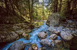 Escalade -  Collectif - Gestalten - E/P/A