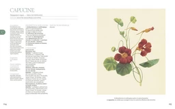 La grande encyclopédie de l'herboristerie - Michel Pierre - E/P/A