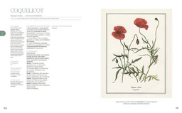 La grande encyclopédie de l'herboristerie - Michel Pierre - E/P/A