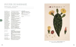 La grande encyclopédie de l'herboristerie - Michel Pierre - E/P/A