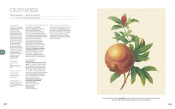 La grande encyclopédie de l'herboristerie - Michel Pierre - E/P/A