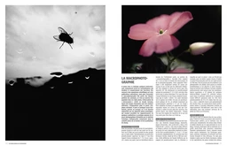 Photographie : Techniques, Pratique, Esthétique - Jean-Christophe Béchet, PASCALE BRITES, SYLVIE HUGUES, RENAUD MAROT - E/P/A