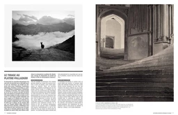 Photographie : Techniques, Pratique, Esthétique - Jean-Christophe Béchet, PASCALE BRITES, SYLVIE HUGUES, RENAUD MAROT - E/P/A