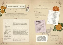 Le nouveau grimoire de sorcière - Brigitte Bulard-Cordeau - E/P/A