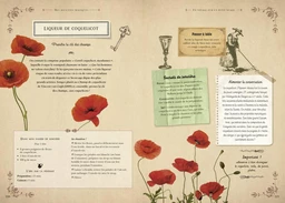 Le nouveau grimoire de sorcière - Brigitte Bulard-Cordeau - E/P/A