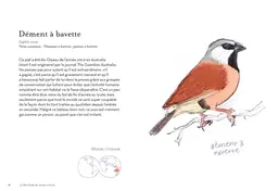 Petit guide des oiseaux à la con - Matt Kracht - E/P/A