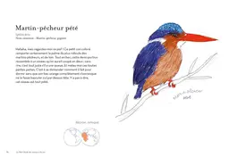 Petit guide des oiseaux à la con - Matt Kracht - E/P/A