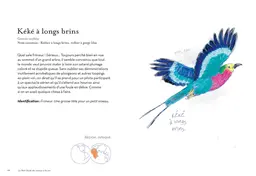 Petit guide des oiseaux à la con - Matt Kracht - E/P/A