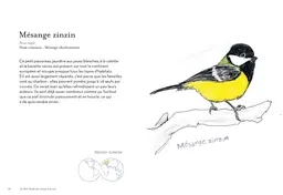 Petit guide des oiseaux à la con - Matt Kracht - E/P/A