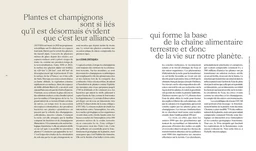 Champignons - Loïc Chauveau - E/P/A