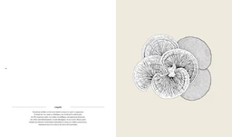 Champignons - Loïc Chauveau - E/P/A