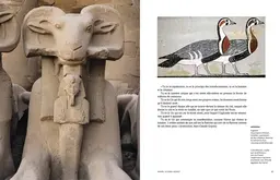 L'égypte pharaonique - De la puissance au crépuscule - Christian Jacq - E/P/A