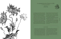 Terre de fer -  BLANCHE PATINE - E/P/A