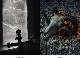 Alexander McQueen - Véronique Bergen - E/P/A