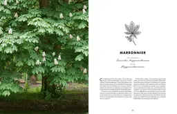 Les bienfaits des arbres - Christophe De Hody - E/P/A