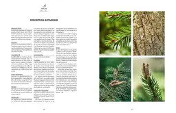 Les bienfaits des arbres - Christophe De Hody - E/P/A