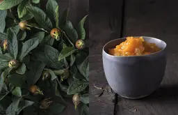 Les bienfaits des arbres - Christophe De Hody - E/P/A